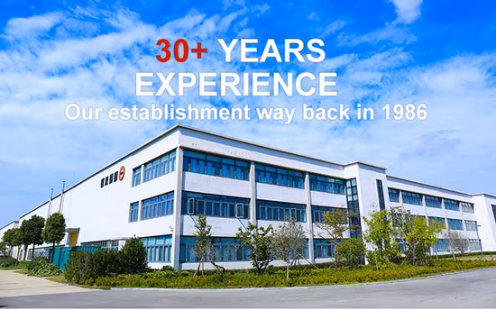 CCC aprobó el nuevo paquete neutro Grh/paleta de madera Bomba de engranaje doble Remoción de nieve